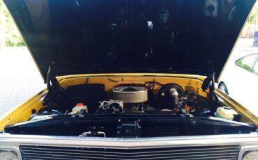 Chevrolet-Other-chevrolet-models-1972-Gold-Beige-17
