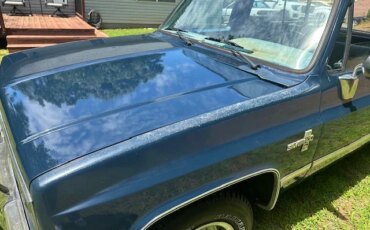 Chevrolet-Other-chevrolet-models-1986-Blue-Blue-3