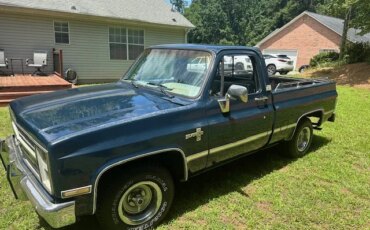 Chevrolet-Other-chevrolet-models-1986-Blue-Blue