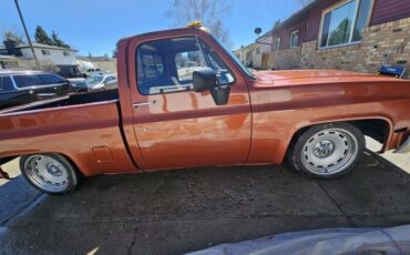 Chevrolet-R10-1987-11