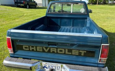 Chevrolet-S-10-1990-Standard-Cab-Pickup-3