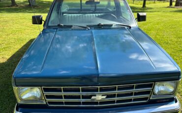 Chevrolet-S-10-1990-Standard-Cab-Pickup-4