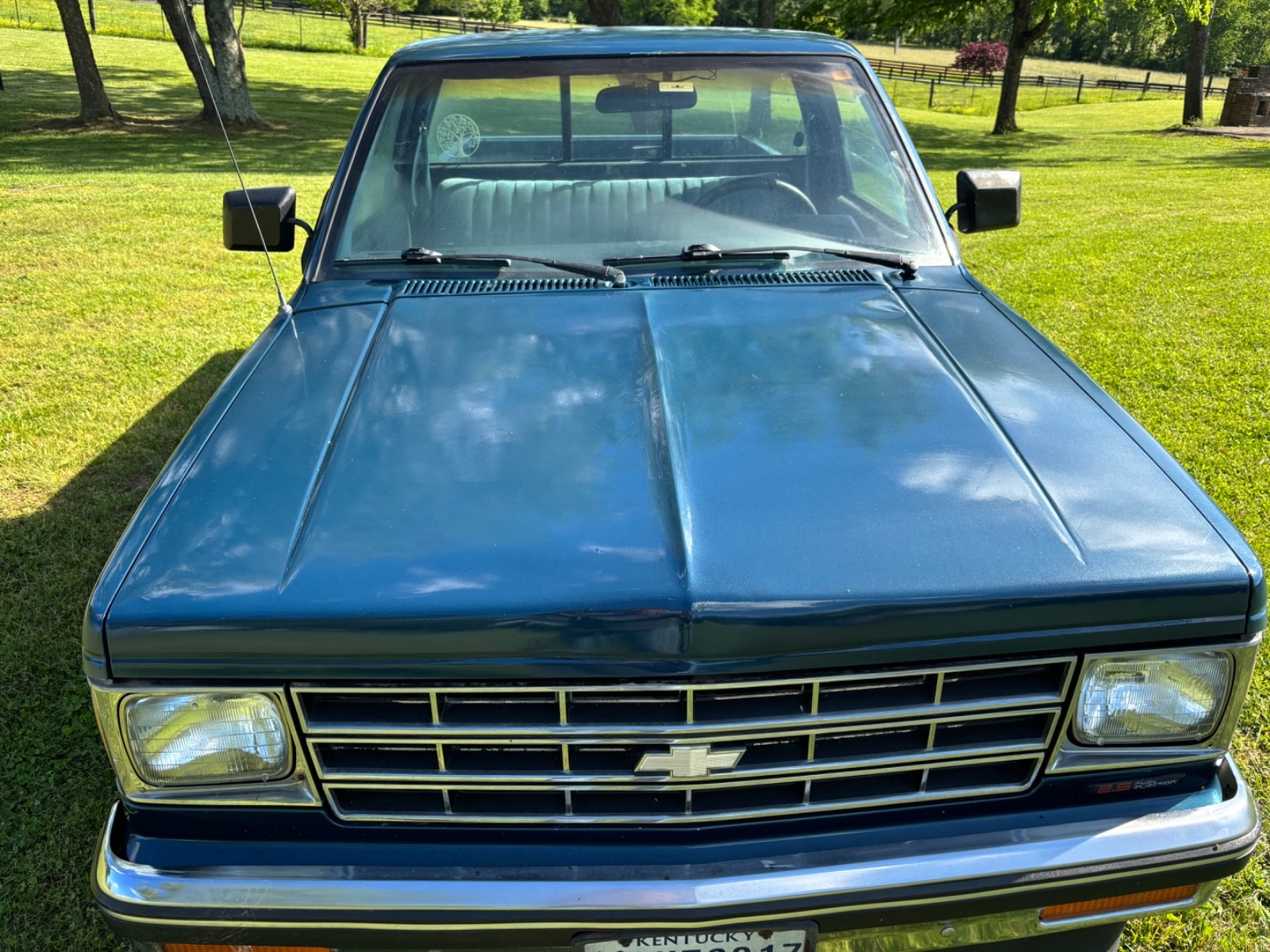Chevrolet-S-10-1990-Standard-Cab-Pickup-4