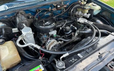 Chevrolet-S-10-1990-Standard-Cab-Pickup-6