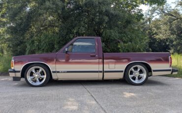 Chevrolet-S-10-1993-Single-Cab-Pickup-1