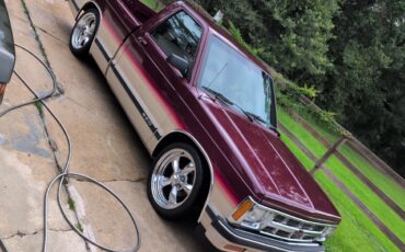 Chevrolet-S-10-1993-Single-Cab-Pickup-2