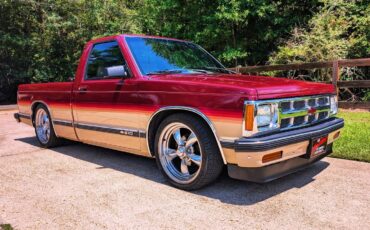 Chevrolet-S-10-1993-Single-Cab-Pickup-4