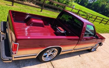 Chevrolet-S-10-1993-Single-Cab-Pickup-5