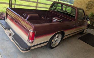 Chevrolet-S-10-1993-Single-Cab-Pickup-8
