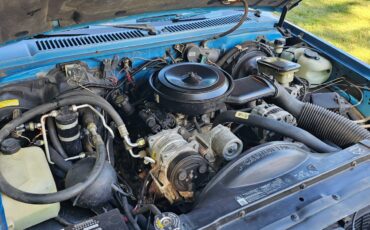 Chevrolet-S-10-1993-Standard-Cab-Pickup-10