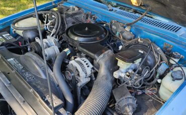 Chevrolet-S-10-1993-Standard-Cab-Pickup-11