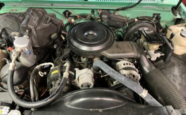 Chevrolet-S-10-1993-Standard-Cab-Pickup-12