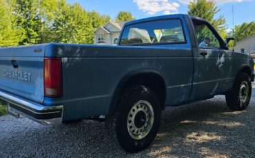 Chevrolet-S-10-1993-Standard-Cab-Pickup-2