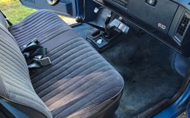 Chevrolet-S-10-1993-Standard-Cab-Pickup-20