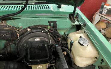 Chevrolet-S-10-1993-Standard-Cab-Pickup-26