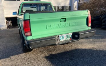 Chevrolet-S-10-1993-Standard-Cab-Pickup-4