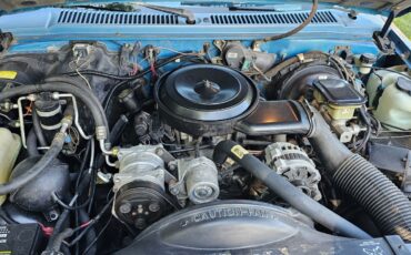 Chevrolet-S-10-1993-Standard-Cab-Pickup-9
