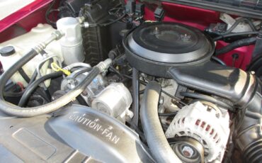 Chevrolet-S-10-1994-Standard-Cab-Pickup-15