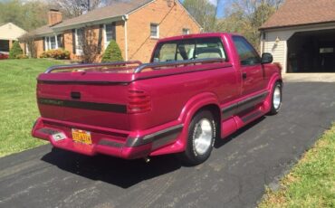 Chevrolet-S-10-1994-Standard-Cab-Pickup-2