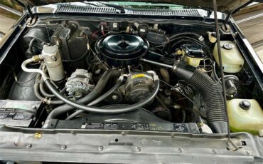 Chevrolet-S10-1987-Black-Black-16