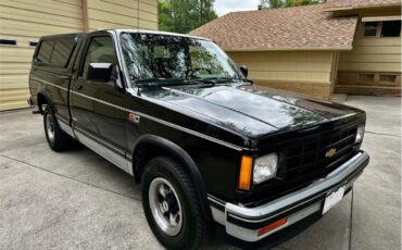 Chevrolet-S10-1987-Black-Black-20