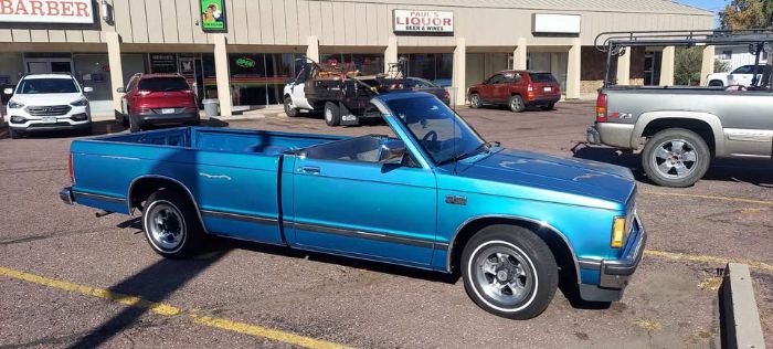 Chevrolet-S10-1989-Blue-Blue-1