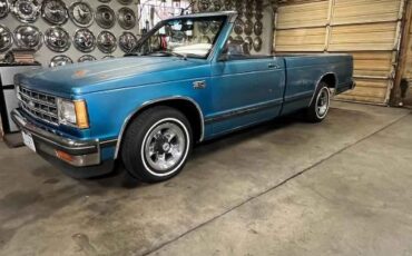 Chevrolet-S10-1989-Blue-Blue-12