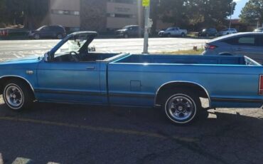 Chevrolet-S10-1989-Blue-Blue-14