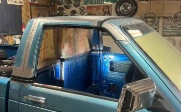 Chevrolet-S10-1989-Blue-Blue-9