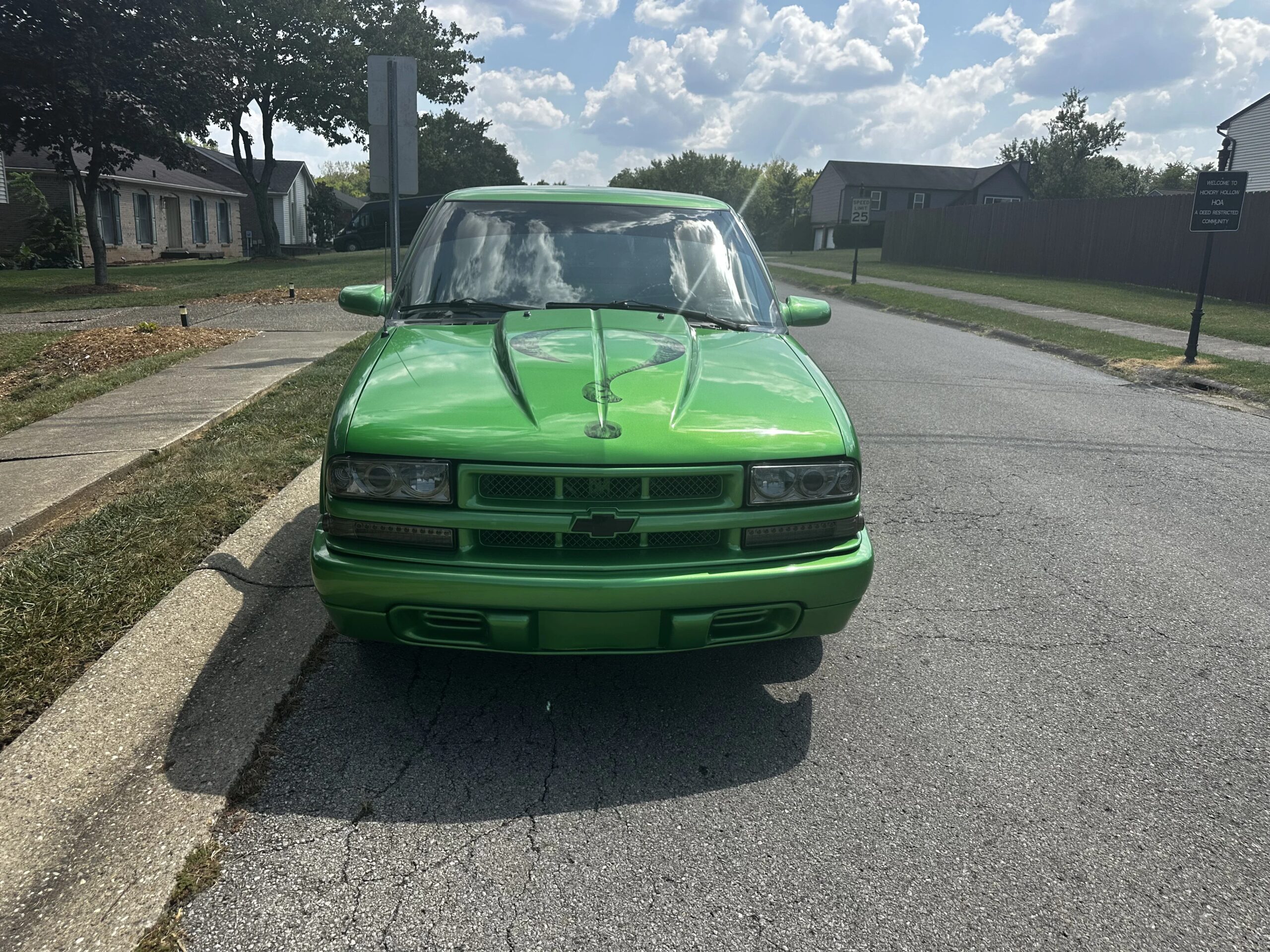 Chevrolet-S10-pickup-2wd-regular-cab-1994-Green-Black-15