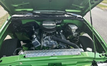 Chevrolet-S10-pickup-2wd-regular-cab-1994-Green-Black-5