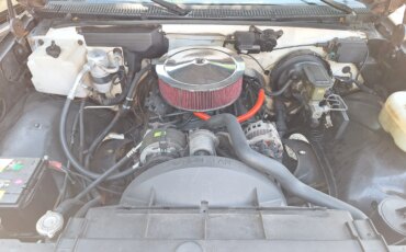 Chevrolet-Silverado-1500-2wd-regular-cab-1989-Gray-Gray-6