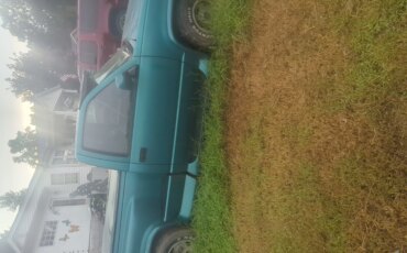 Chevrolet-Silverado-1500-2wd-regular-cab-1993-Green-Gray-5