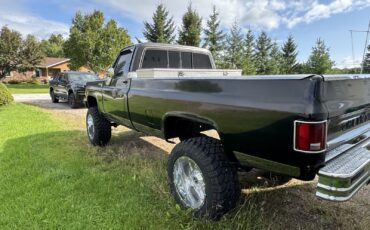 Chevrolet-Silverado-1979-4
