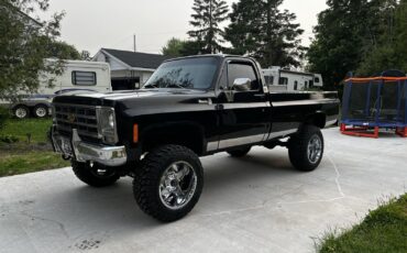 Chevrolet-Silverado-1979-6