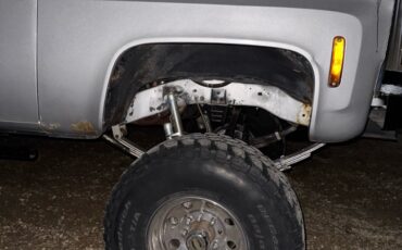 Chevrolet-Silverado-1980-3