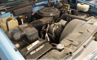 Chevrolet-Silverado-1994-Light-Montana-Blue-M-Dark-Blue-38