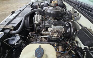 Chevrolet-Silverado-1994-White-2