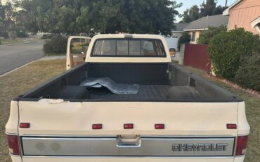 Chevrolet-Silverado-3500-2wd-crew-cab-1989-Tan-Tan-14