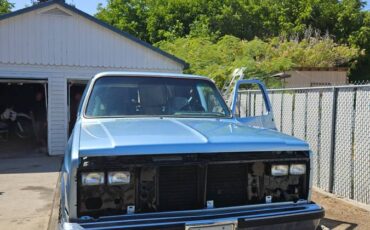 Chevrolet-blazer-12-ton-nominal-1989-blue-5