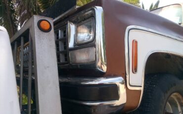 Chevrolet-blazer-1980-13