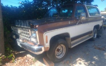 Chevrolet-blazer-1980-8