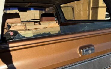 Chevrolet-blazer-1981-brown-10