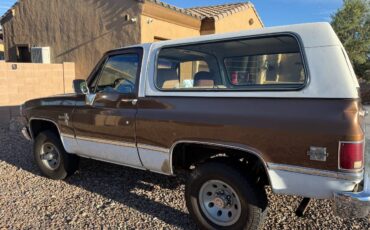 Chevrolet-blazer-1981-brown-2