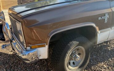 Chevrolet-blazer-1981-brown-3