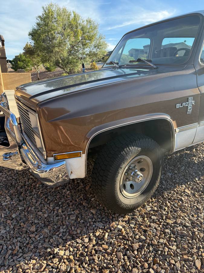 Chevrolet-blazer-1981-brown-3