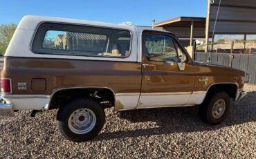 Chevrolet-blazer-1981-brown