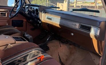 Chevrolet-blazer-1981-brown-4