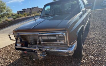 Chevrolet-blazer-1981-brown-6