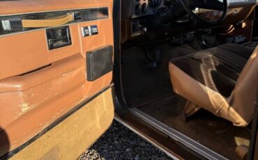 Chevrolet-blazer-1981-brown-9